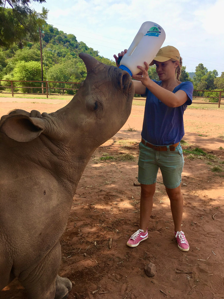 Food for Rhinos — neushoorn in de natuur